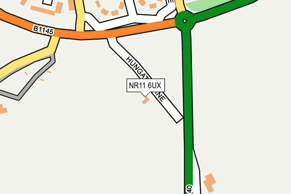 NR11 6UX map - OS OpenMap – Local (Ordnance Survey)