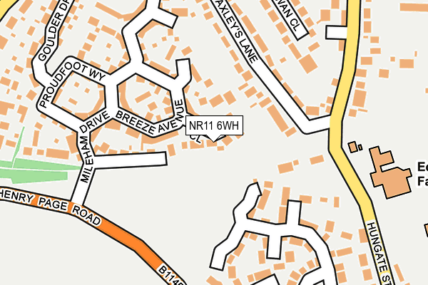 NR11 6WH map - OS OpenMap – Local (Ordnance Survey)