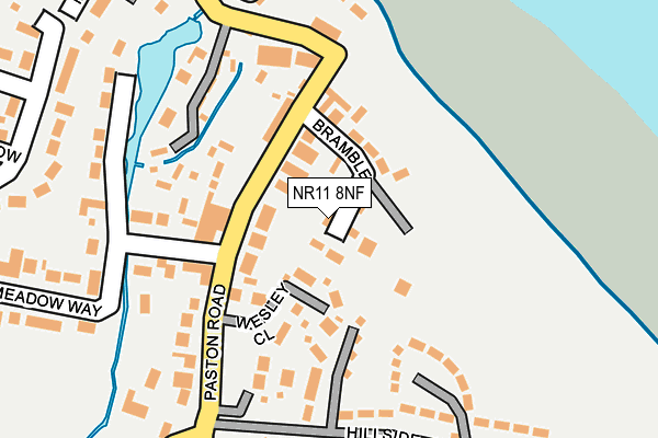 NR11 8NF map - OS OpenMap – Local (Ordnance Survey)