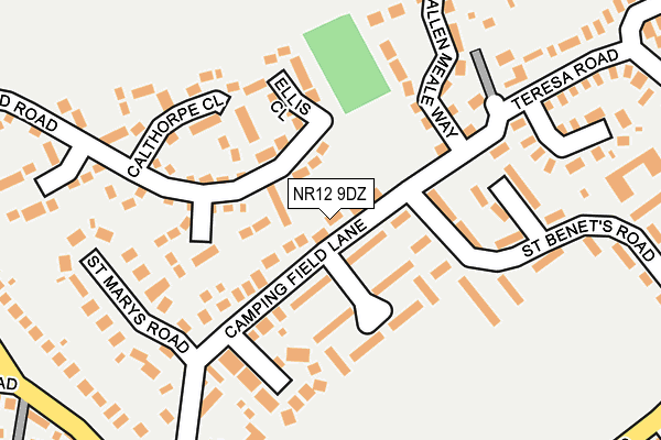 NR12 9DZ map - OS OpenMap – Local (Ordnance Survey)