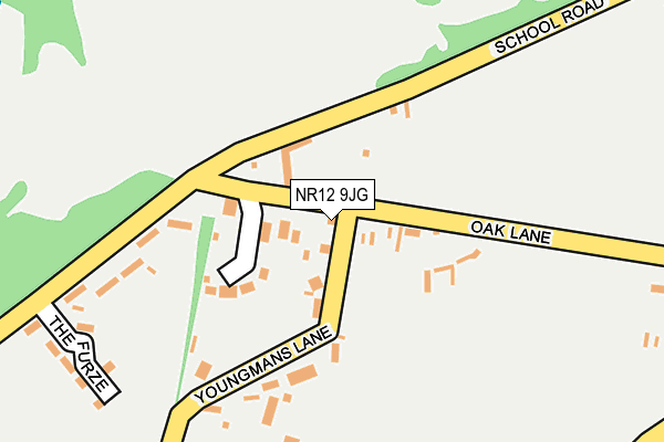 NR12 9JG map - OS OpenMap – Local (Ordnance Survey)