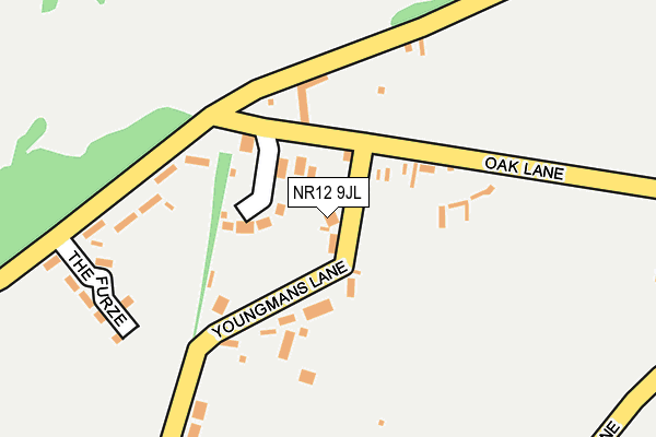 NR12 9JL map - OS OpenMap – Local (Ordnance Survey)