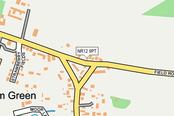 NR12 9PT map - OS OpenMap – Local (Ordnance Survey)
