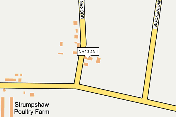 NR13 4NJ map - OS OpenMap – Local (Ordnance Survey)