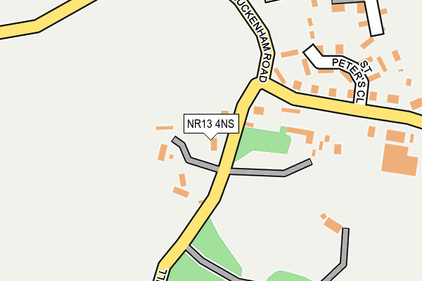 NR13 4NS map - OS OpenMap – Local (Ordnance Survey)