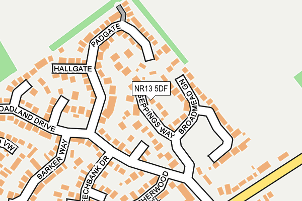 NR13 5DF map - OS OpenMap – Local (Ordnance Survey)