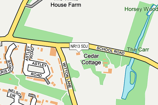 NR13 5DJ map - OS OpenMap – Local (Ordnance Survey)