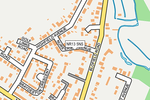 NR13 5NS map - OS OpenMap – Local (Ordnance Survey)