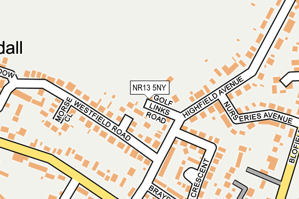 NR13 5NY map - OS OpenMap – Local (Ordnance Survey)