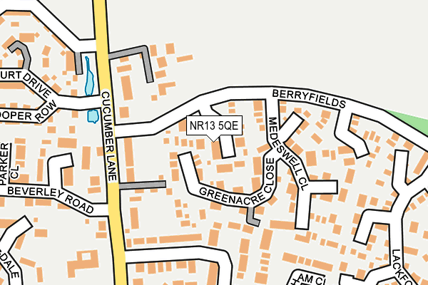 NR13 5QE map - OS OpenMap – Local (Ordnance Survey)