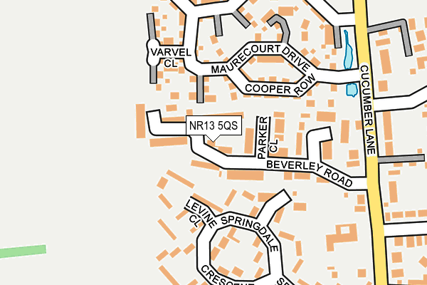 NR13 5QS map - OS OpenMap – Local (Ordnance Survey)
