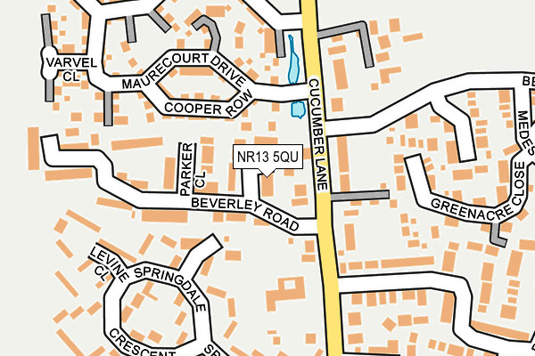 NR13 5QU map - OS OpenMap – Local (Ordnance Survey)