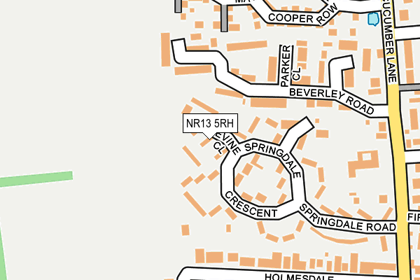 NR13 5RH map - OS OpenMap – Local (Ordnance Survey)