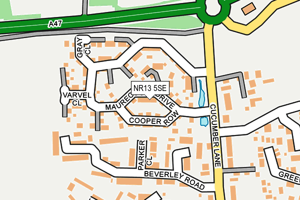 NR13 5SE map - OS OpenMap – Local (Ordnance Survey)