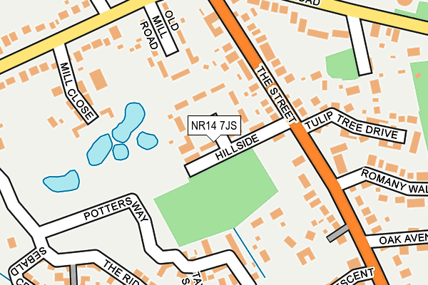 NR14 7JS map - OS OpenMap – Local (Ordnance Survey)