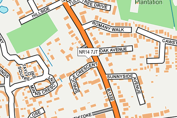 NR14 7JT map - OS OpenMap – Local (Ordnance Survey)