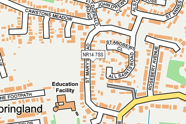 NR14 7SS map - OS OpenMap – Local (Ordnance Survey)