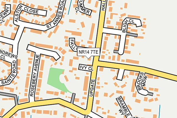 NR14 7TE map - OS OpenMap – Local (Ordnance Survey)