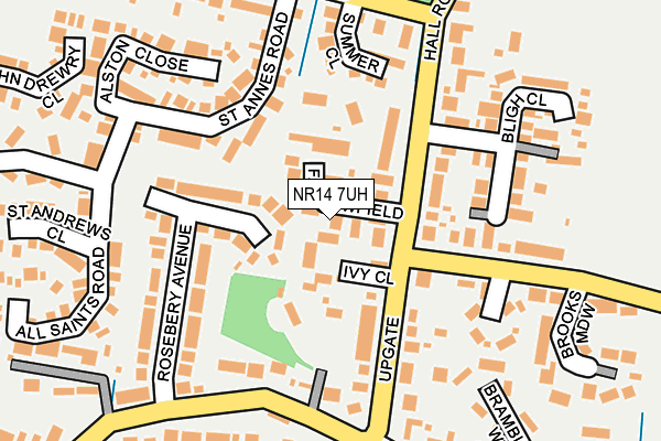 NR14 7UH map - OS OpenMap – Local (Ordnance Survey)