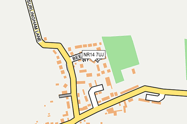 NR14 7UJ map - OS OpenMap – Local (Ordnance Survey)