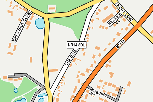NR14 8DL map - OS OpenMap – Local (Ordnance Survey)