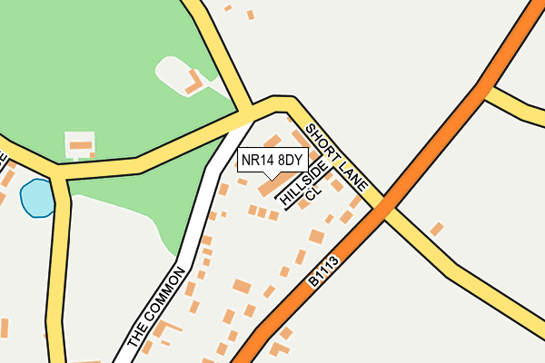 NR14 8DY map - OS OpenMap – Local (Ordnance Survey)