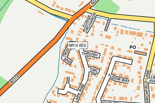 NR14 8EG map - OS OpenMap – Local (Ordnance Survey)