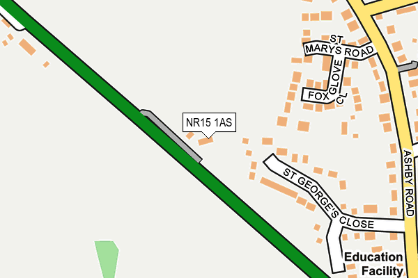 NR15 1AS map - OS OpenMap – Local (Ordnance Survey)