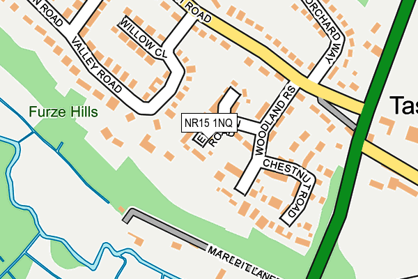 NR15 1NQ map - OS OpenMap – Local (Ordnance Survey)