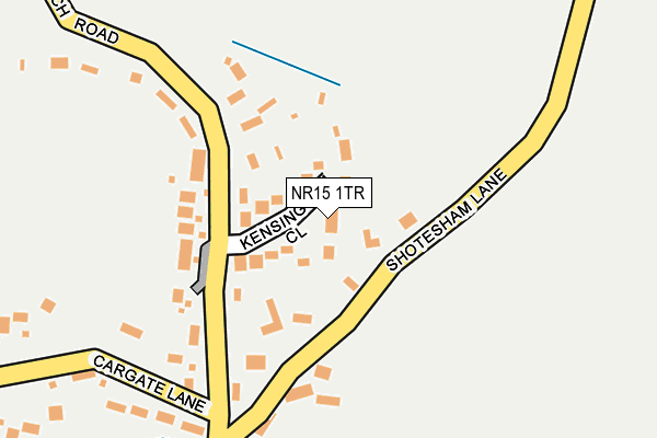 NR15 1TR map - OS OpenMap – Local (Ordnance Survey)