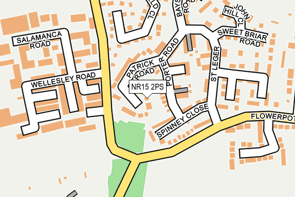 NR15 2PS map - OS OpenMap – Local (Ordnance Survey)