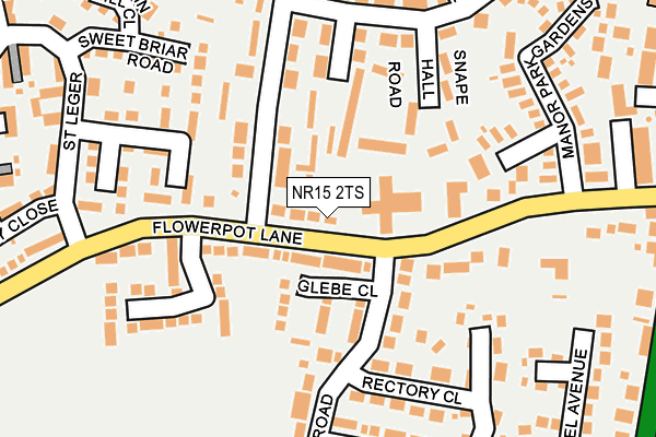 NR15 2TS map - OS OpenMap – Local (Ordnance Survey)