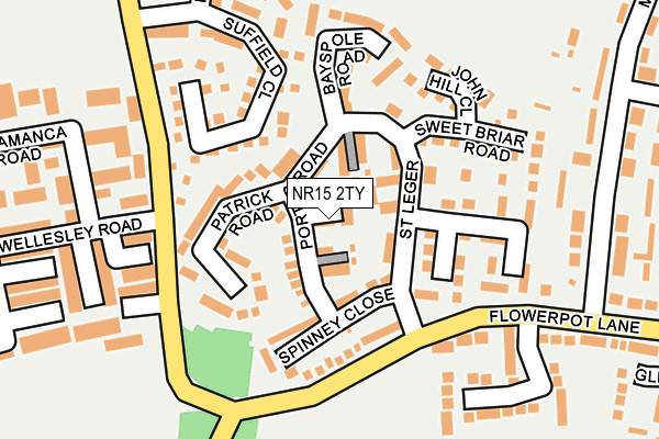 NR15 2TY map - OS OpenMap – Local (Ordnance Survey)