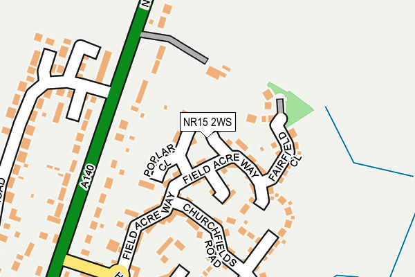 NR15 2WS map - OS OpenMap – Local (Ordnance Survey)