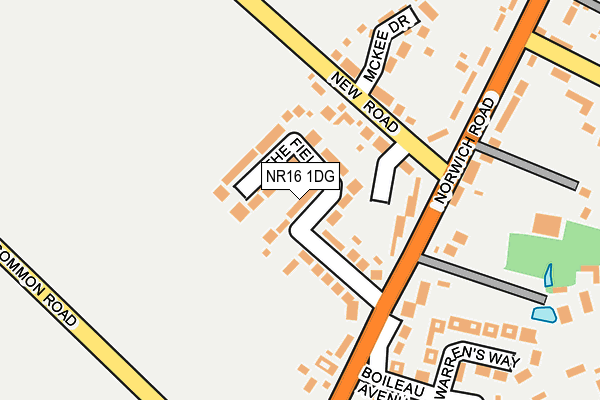 NR16 1DG map - OS OpenMap – Local (Ordnance Survey)
