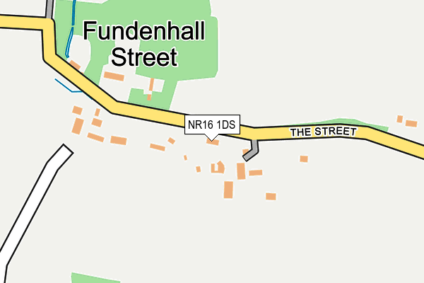NR16 1DS map - OS OpenMap – Local (Ordnance Survey)