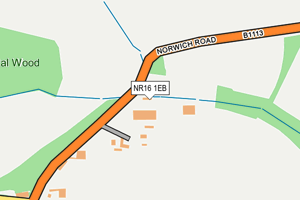 NR16 1EB map - OS OpenMap – Local (Ordnance Survey)