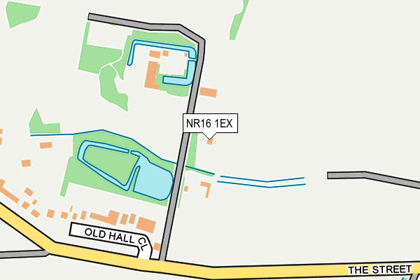 NR16 1EX map - OS OpenMap – Local (Ordnance Survey)