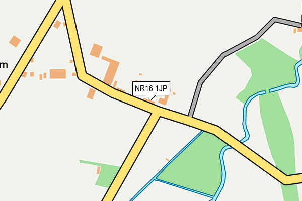NR16 1JP map - OS OpenMap – Local (Ordnance Survey)