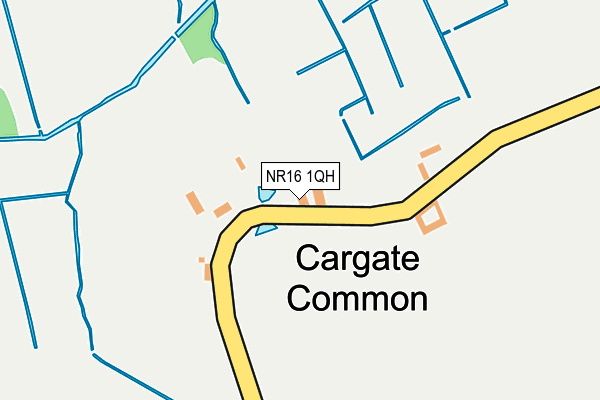 NR16 1QH map - OS OpenMap – Local (Ordnance Survey)