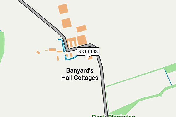 NR16 1SS map - OS OpenMap – Local (Ordnance Survey)