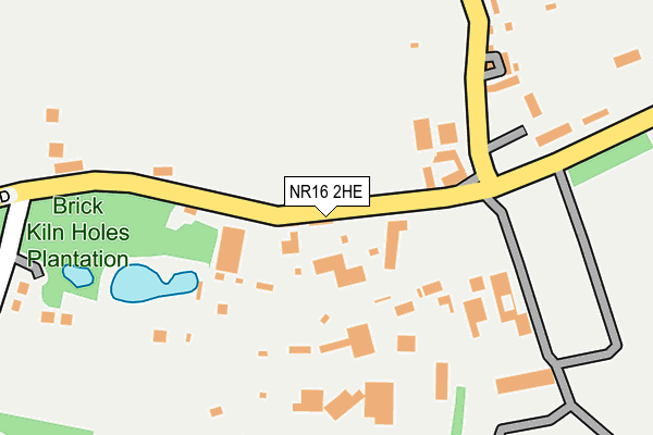 NR16 2HE map - OS OpenMap – Local (Ordnance Survey)