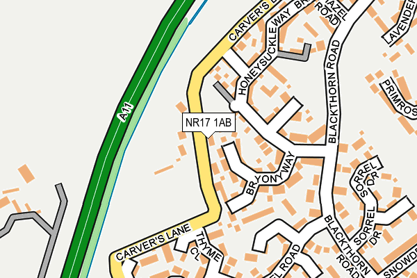 NR17 1AB map - OS OpenMap – Local (Ordnance Survey)