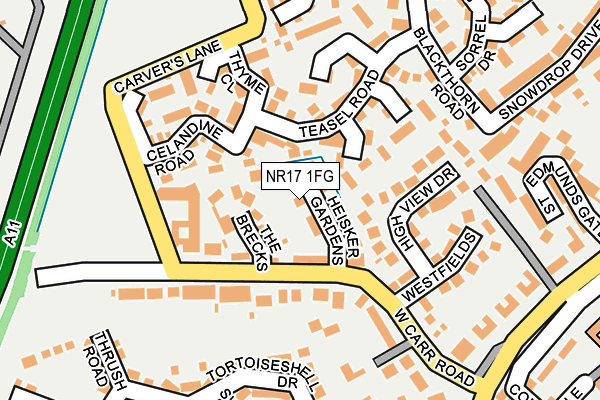 NR17 1FG map - OS OpenMap – Local (Ordnance Survey)