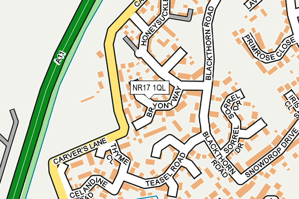 NR17 1QL map - OS OpenMap – Local (Ordnance Survey)