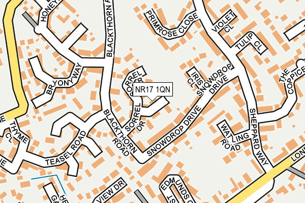 NR17 1QN map - OS OpenMap – Local (Ordnance Survey)