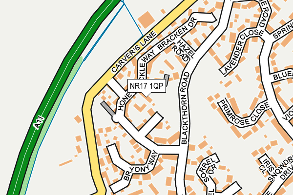 NR17 1QP map - OS OpenMap – Local (Ordnance Survey)