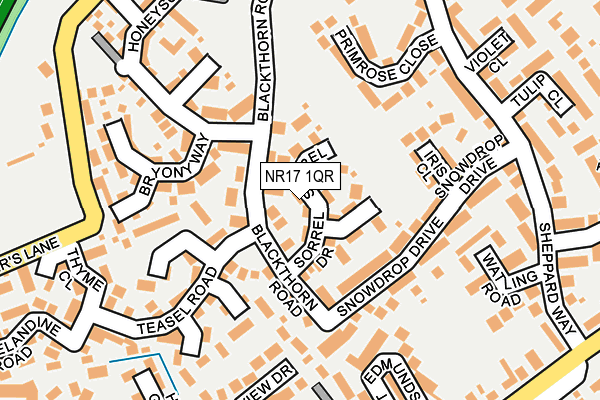 NR17 1QR map - OS OpenMap – Local (Ordnance Survey)