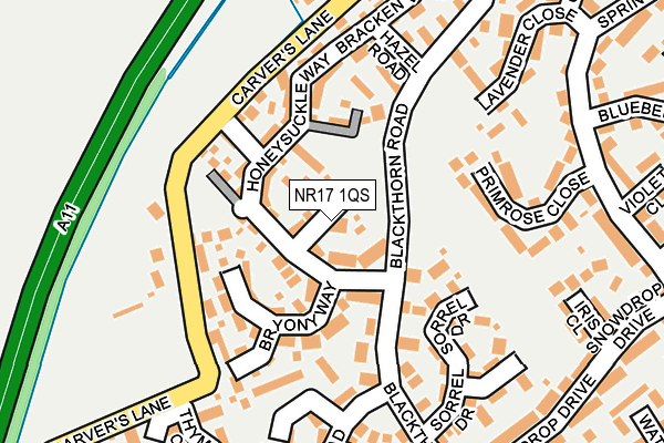 NR17 1QS map - OS OpenMap – Local (Ordnance Survey)