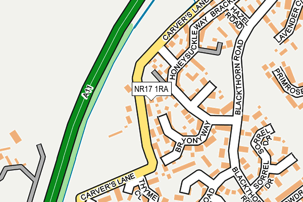 NR17 1RA map - OS OpenMap – Local (Ordnance Survey)